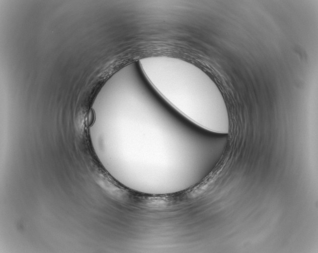 X0000111600574200907161216