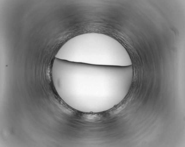 X0000111600575200907161216