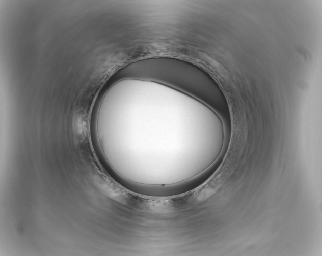 X0000111600576200907161216