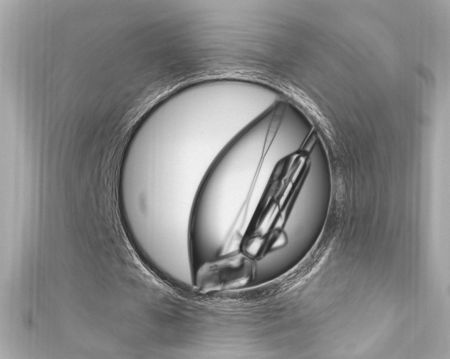 X0000111600577200907161215