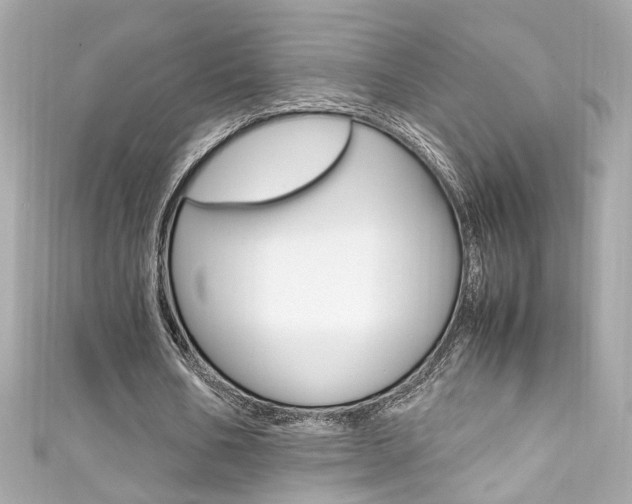 X0000111600578200907161215