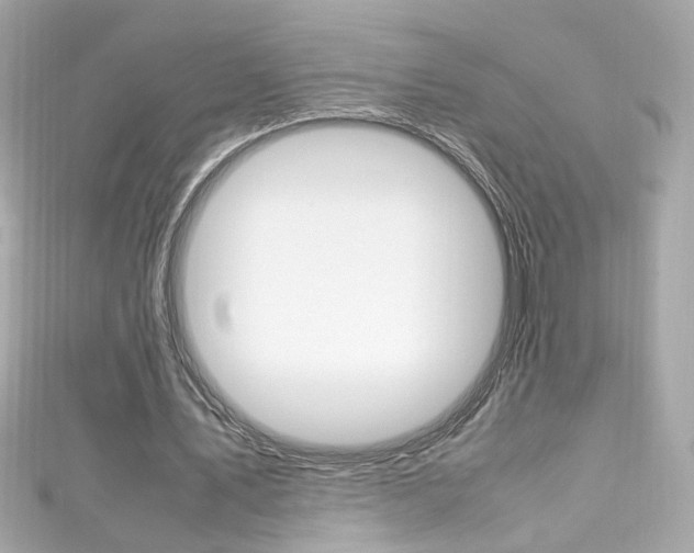 X0000111600579200907161215