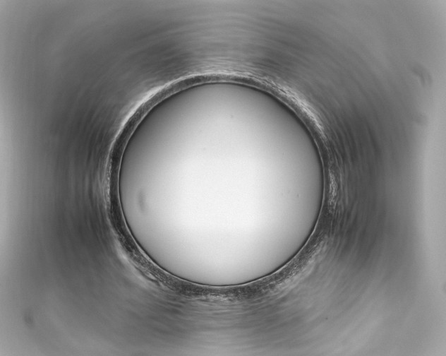 X0000111600580200907161215