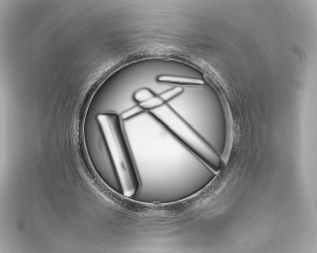 X0000111600581200907161215