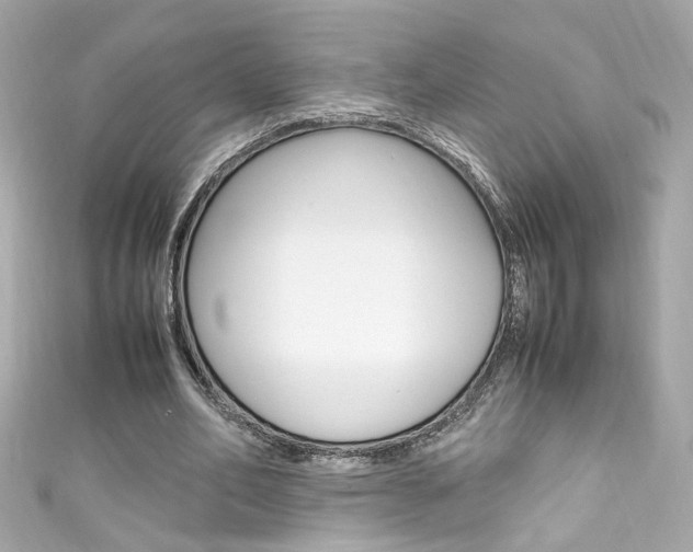 X0000111600582200907161215