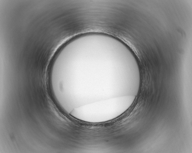 X0000111600584200907161215