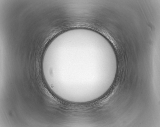 X0000111600585200907161215
