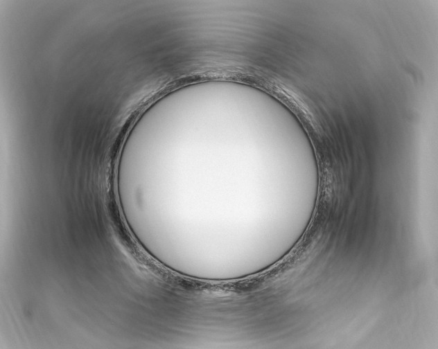 X0000111600586200907161215