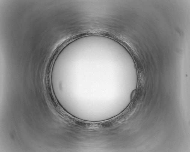 X0000111600587200907161215