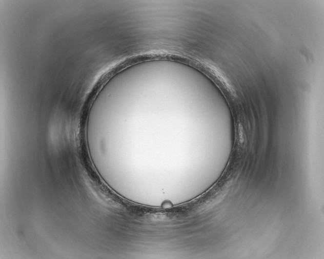 X0000111600588200907161215