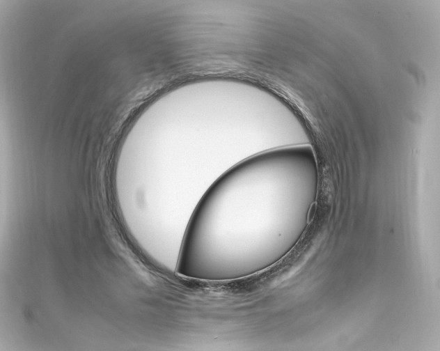 X0000111600589200907161215