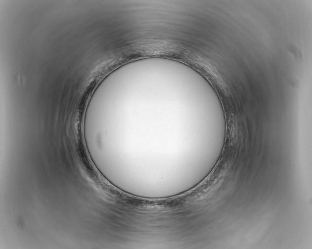 X0000111600590200907161215
