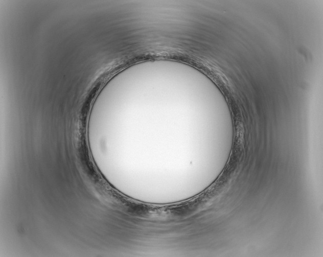 X0000111600591200907161215