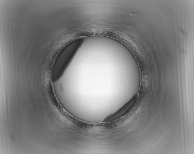 X0000111600593200907161215