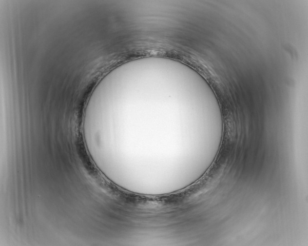 X0000111600594200907161215