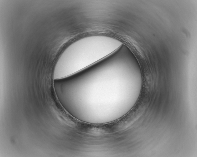 X0000111600596200907161215