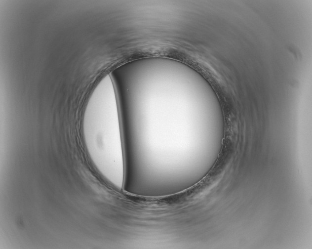 X0000111600597200907161215