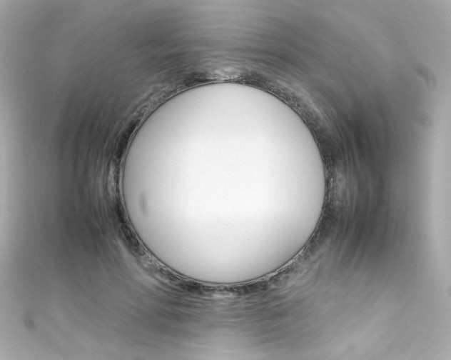 X0000111600598200907161215