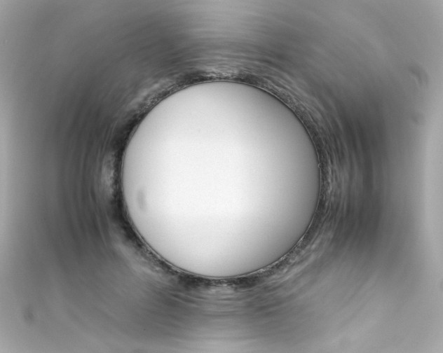 X0000111600600200907161215
