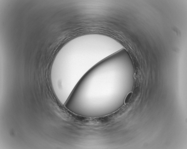 X0000111600601200907161215