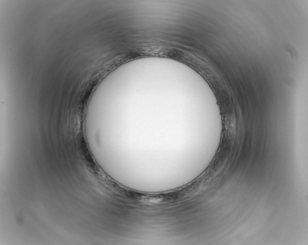 X0000111600602200907161215