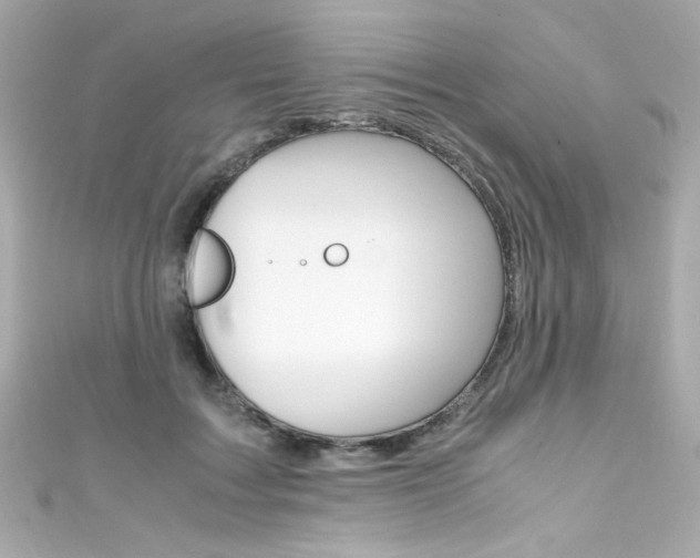 X0000111600603200907161215