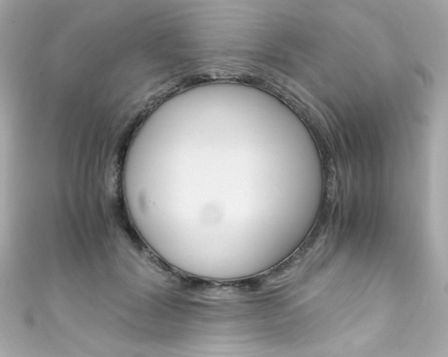 X0000111600604200907161215