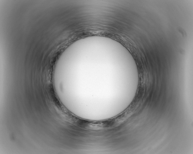 X0000111600606200907161215