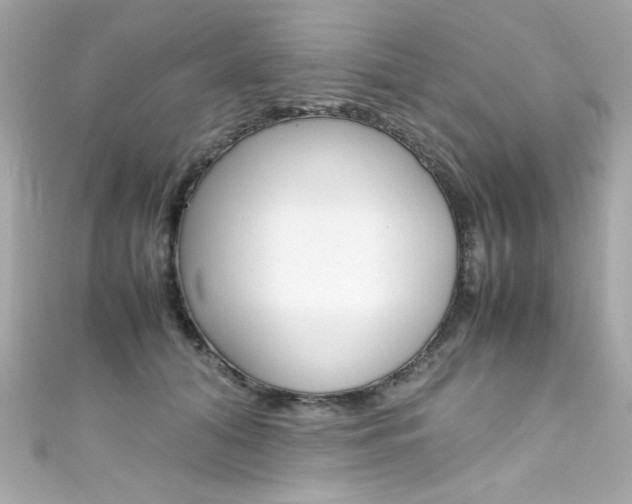 X0000111600608200907161215