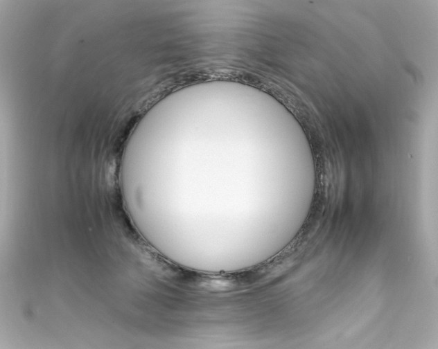 X0000111600610200907161215