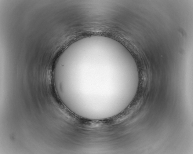 X0000111600612200907161215