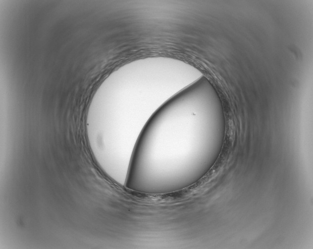X0000111600613200907161215