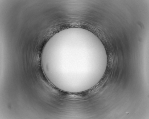 X0000111600614200907161215