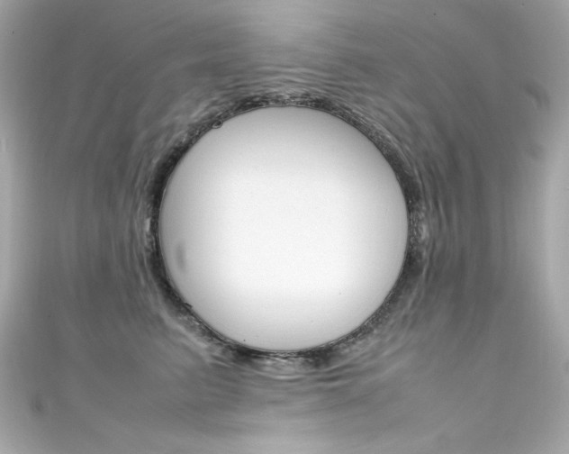 X0000111600615200907161215