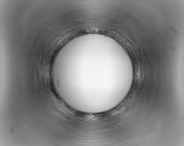 X0000111600616200907161215