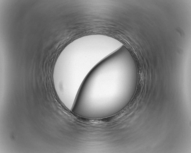 X0000111600617200907161215