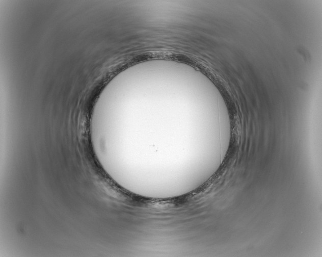 X0000111600619200907161215