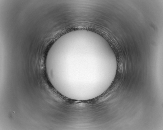 X0000111600620200907161215