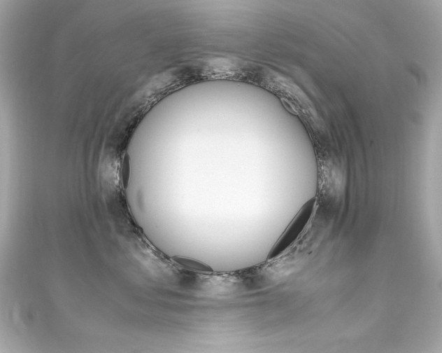 X0000111600621200907161215