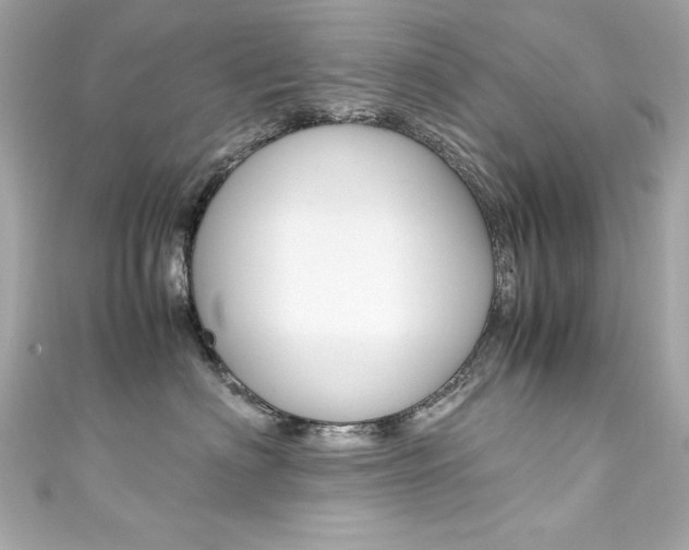X0000111600622200907161215