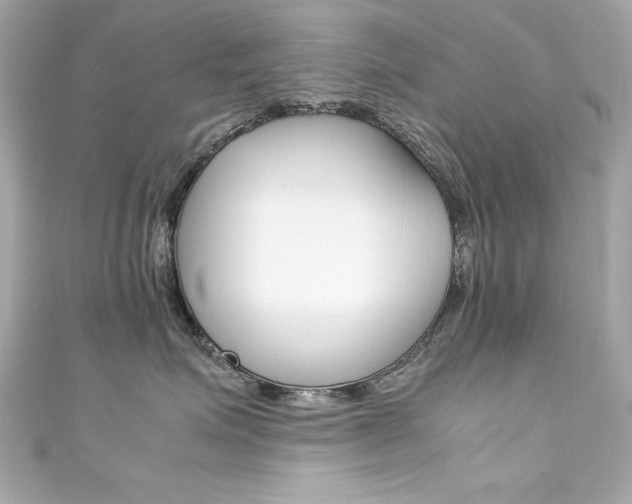 X0000111600623200907161215