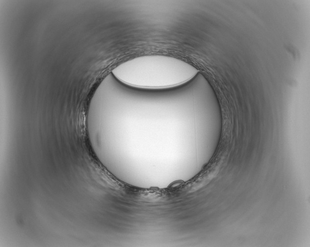 X0000111600624200907161215