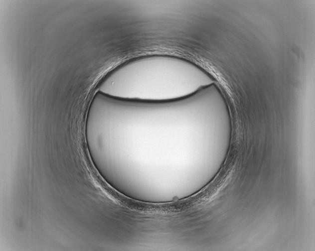 X0000111600625200907161214