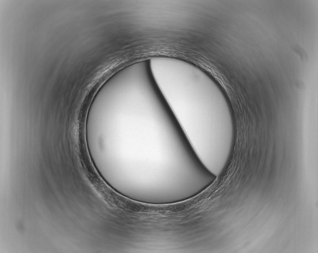 X0000111600626200907161214