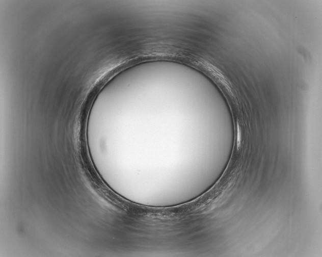 X0000111600627200907161214