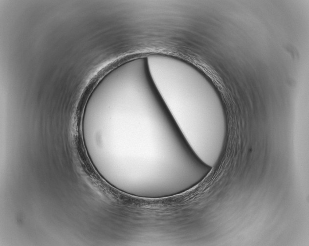 X0000111600628200907161214