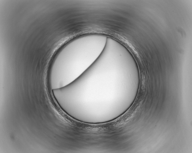 X0000111600629200907161214