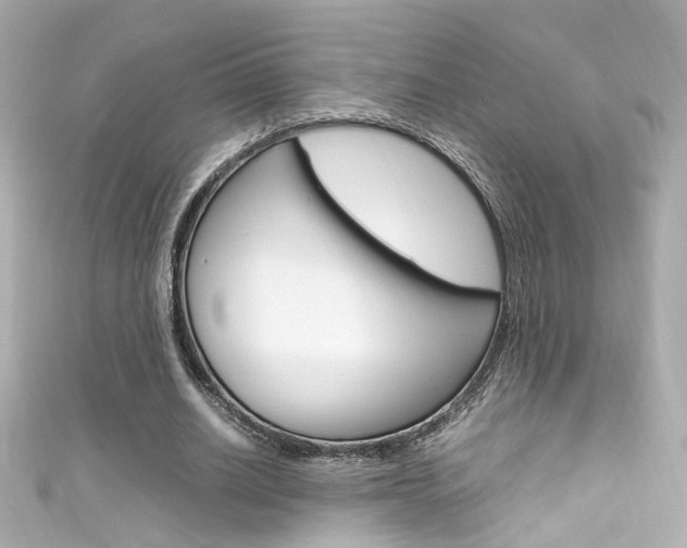 X0000111600630200907161214