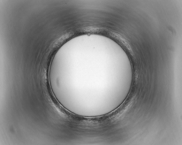 X0000111600633200907161214