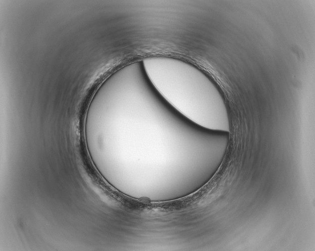 X0000111600634200907161214